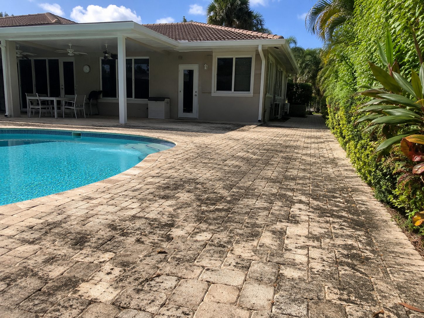 The same pool deck before cleaning — heavy black mold and algae